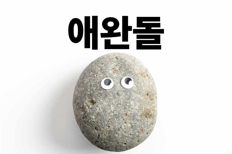 애완돌 훈련법